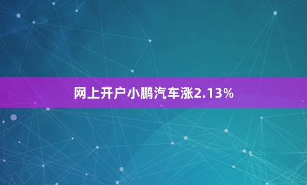 网上开户小鹏汽车涨2.13%