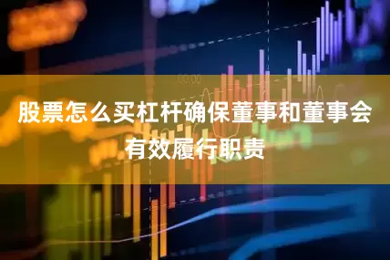 股票怎么买杠杆确保董事和董事会有效履行职责