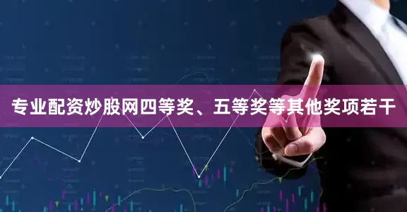 专业配资炒股网四等奖、五等奖等其他奖项若干