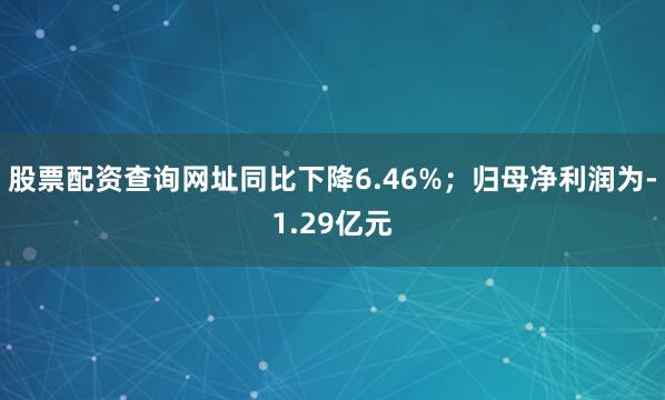 股票配资查询网址同比下降6.46%；归母净利润为-1.29亿元